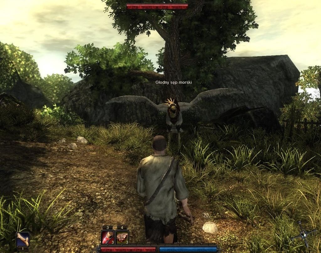 Risen download the last version for ios